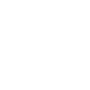 Victoria's Big Build